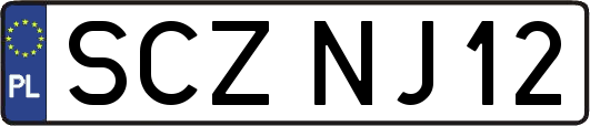 SCZNJ12