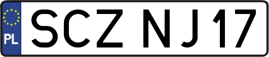 SCZNJ17