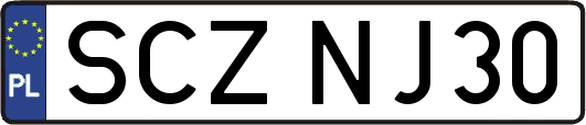 SCZNJ30