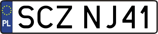 SCZNJ41