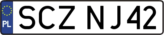 SCZNJ42
