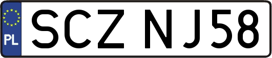 SCZNJ58