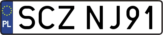 SCZNJ91