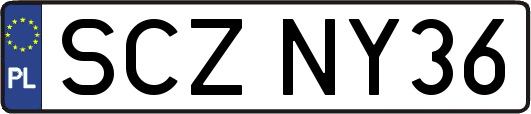 SCZNY36