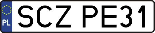 SCZPE31