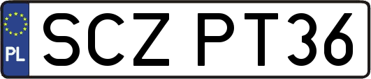 SCZPT36