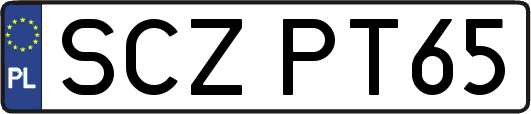 SCZPT65