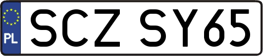 SCZSY65