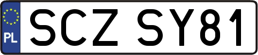SCZSY81