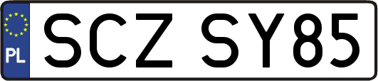 SCZSY85