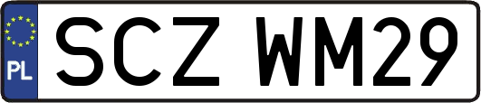 SCZWM29