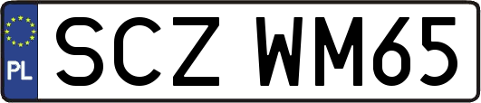 SCZWM65