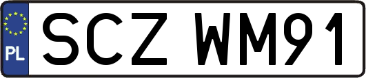 SCZWM91