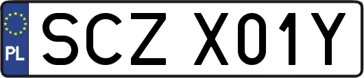 SCZX01Y