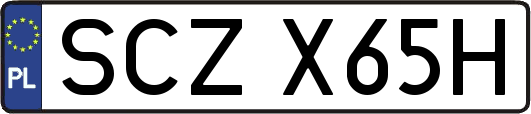 SCZX65H