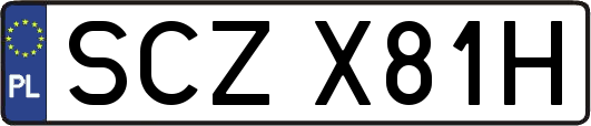 SCZX81H