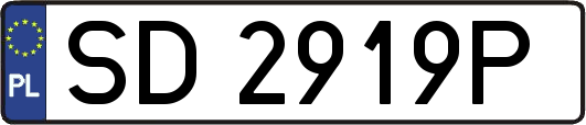 SD2919P