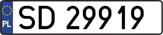 SD29919