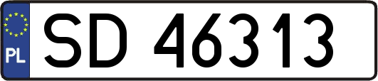 SD46313