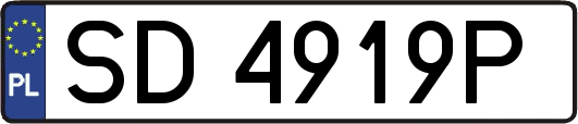 SD4919P