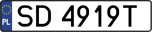 SD4919T