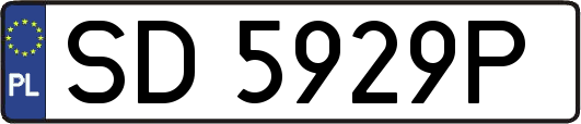 SD5929P