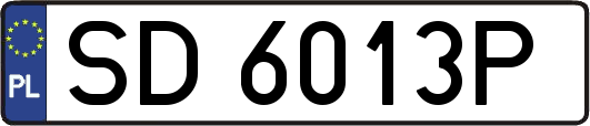 SD6013P