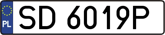 SD6019P