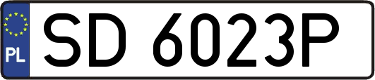 SD6023P