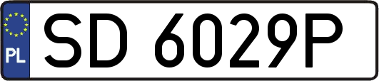 SD6029P