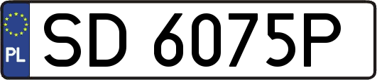 SD6075P