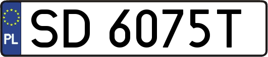 SD6075T