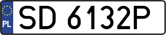 SD6132P