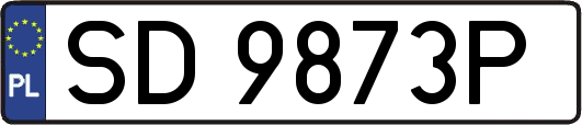 SD9873P
