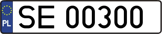 SE00300