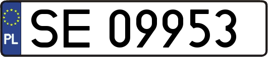 SE09953