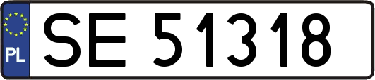 SE51318