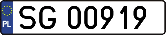 SG00919