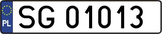 SG01013