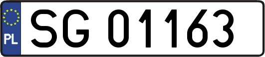 SG01163
