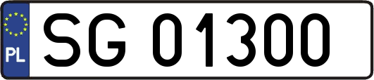 SG01300