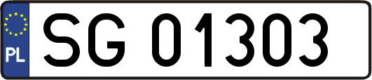 SG01303