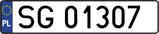 SG01307