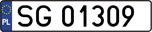 SG01309