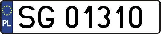 SG01310
