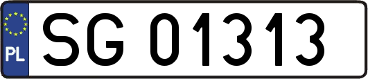 SG01313