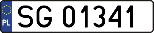 SG01341