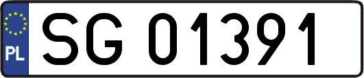 SG01391