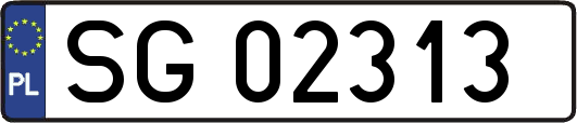 SG02313