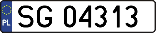 SG04313